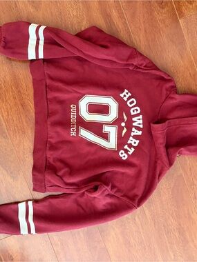 H&M Burgundy Cozy Pullover Hoodie